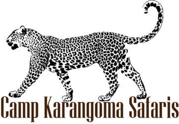 Camp Karangoma Safaris
